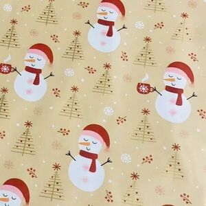 Poly Mailer Shipping Bags